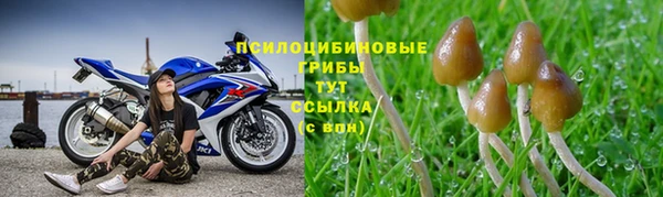 крисы Богданович